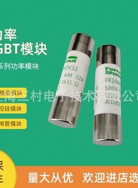 全新熔断器保险丝FR14AR69V8T/Q1056657FR14AR69V10T/R1056658