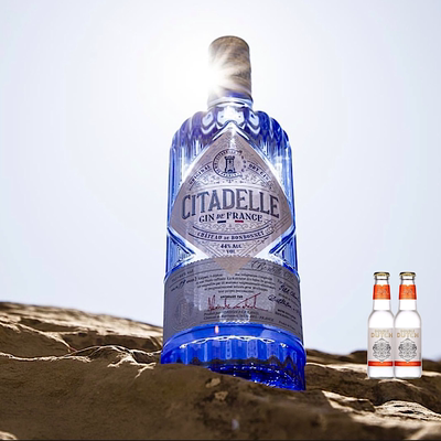 CITADELLEGIN法国巍城金酒700ML