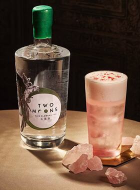 草本风味 金酒中的王老吉 香港TWO MOONS GIN致月五花茶杜松子酒