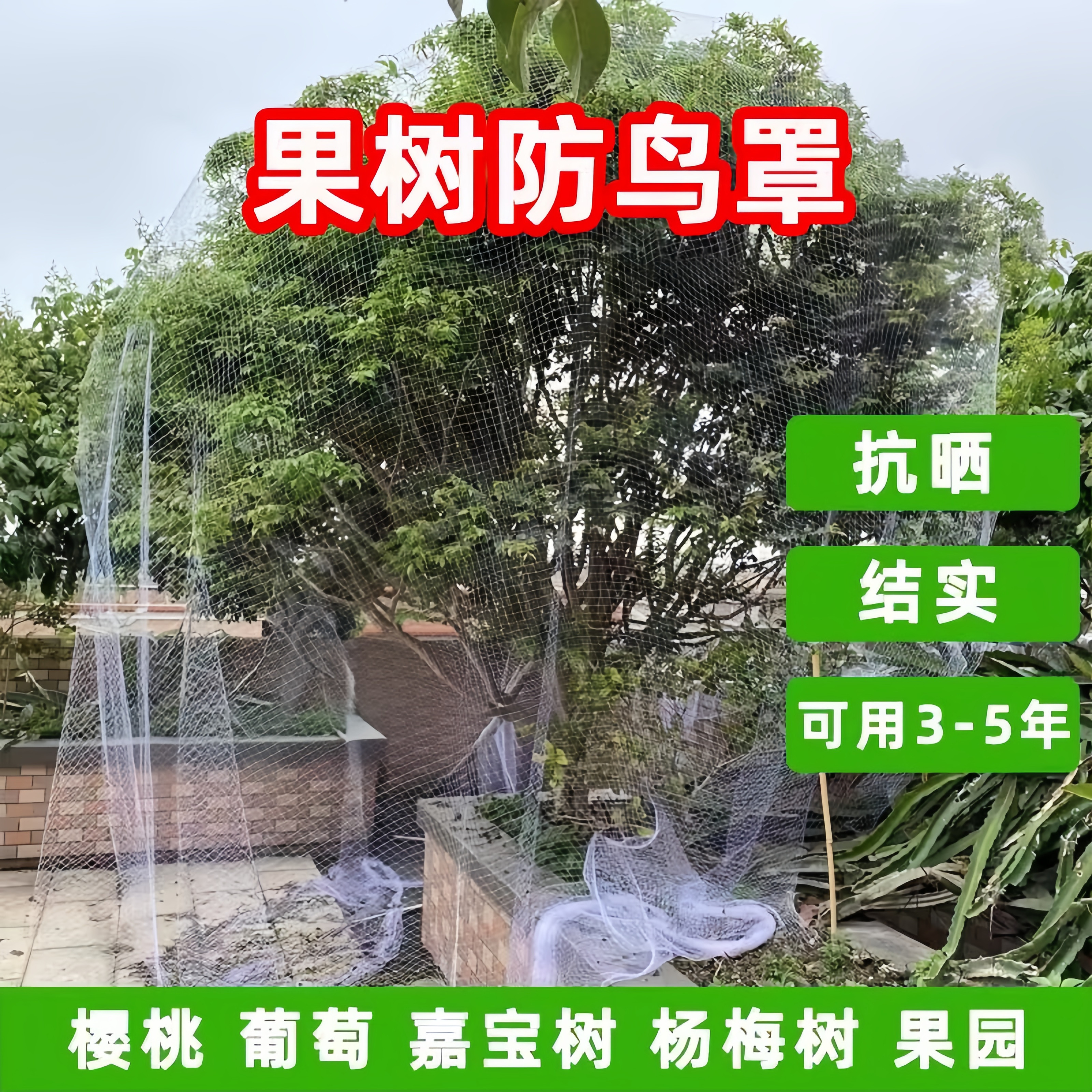 果树防鸟罩专网农用防鸟丝网果园天网嘉宝果树防鸟罩子阳台防鸟网