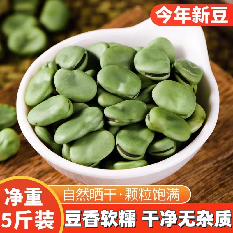 新货青皮干蚕豆可发芽可钓青鱼