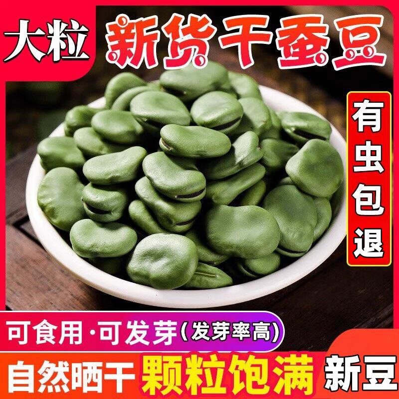 精选特大粒5斤绿皮青皮干蚕豆生绿胡豆可发芽做油炸罗汉豆莲花豆