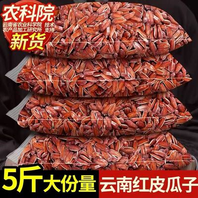 正宗云南红皮瓜子原味带壳生瓜子