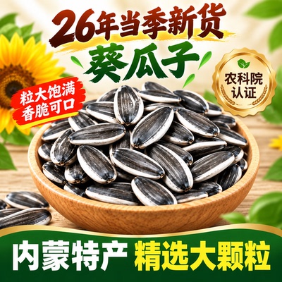 内蒙古特产热销榜前三】五香瓜子
