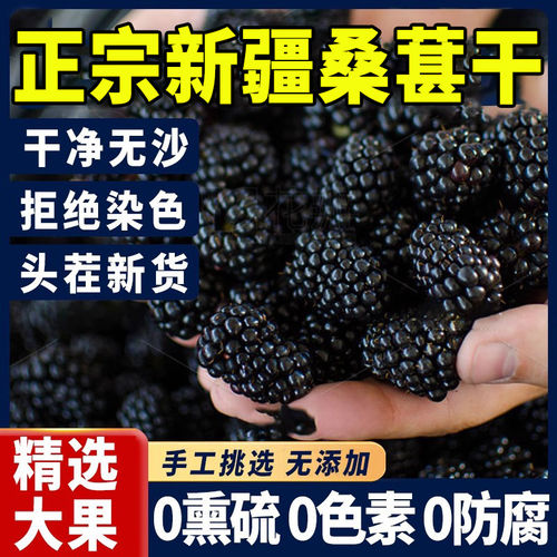 桑葚干有机黑桑葚干即食桑葚煮水泡水喝正品官方旗舰店优质泡酒用