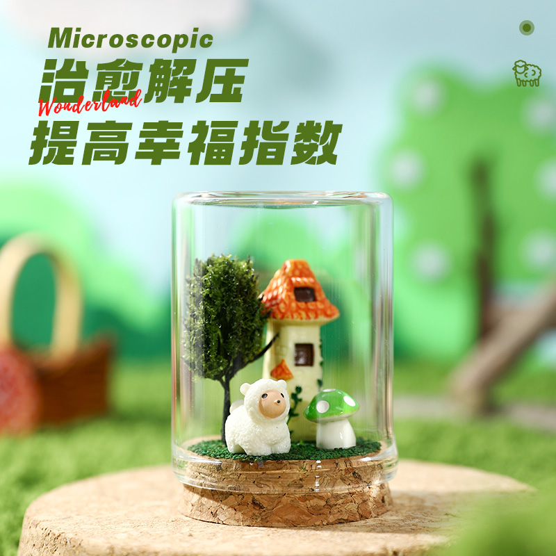 微观世界圆梦瓶漂流瓶生态瓶