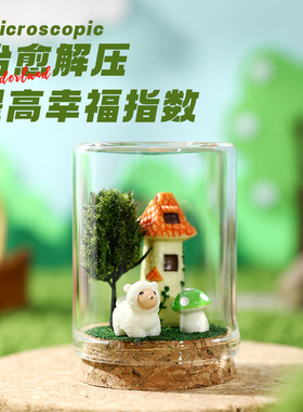 微观世界圆梦瓶漂流瓶生态瓶