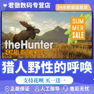 Steam PC正版 游戏 猎人野性的呼唤 theHunter: Call of the Wild 君傲数码