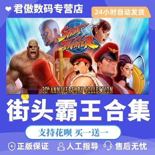 街头霸王30周年纪念 Street 君傲数码 PC正版 Anni 游戏 30th Steam Fighter