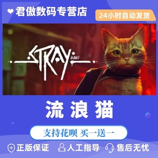 流浪 流浪猫 Stray Steam 君傲数码 游戏 迷失 PC正版