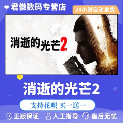 正版游戏消逝的光芒steam