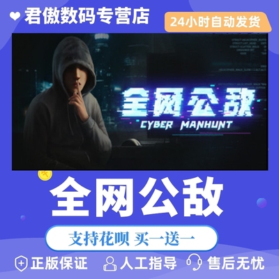 正版全网公敌君傲数码steam