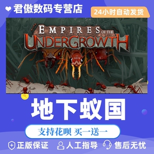 Steam PC正版 游戏 地下蚁国  Empires of the Undergrowth 君傲数码
