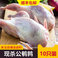 新鲜鹌鹑肉 公鹌鹑冷冻鹌鹑白条鹌鹑烧烤油炸生骨肉现杀10只包邮