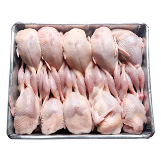 3两鹌鹑现杀新鲜冷冻白条母鹌鹑活杀放血油炸烧烤生骨肉10只包邮