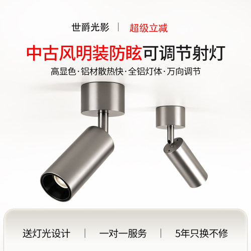 中古风明装防眩可调角度射灯led