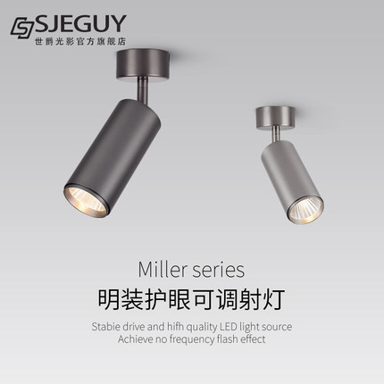 led明装可调角度射灯不锈钢中古风餐厅玄关背景调角度包豪斯射灯