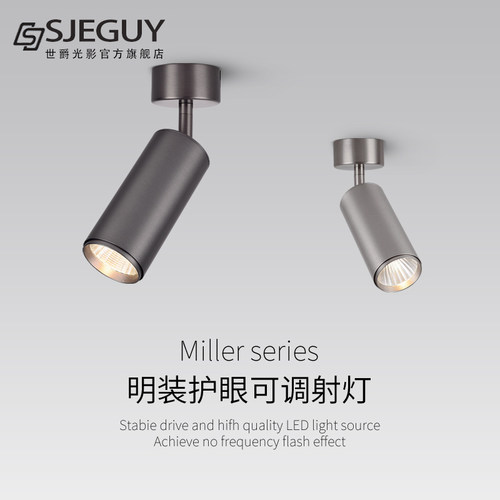 轻奢极简系列调角度全光谱