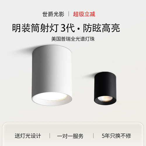 led吸顶式免开孔商用明装筒灯