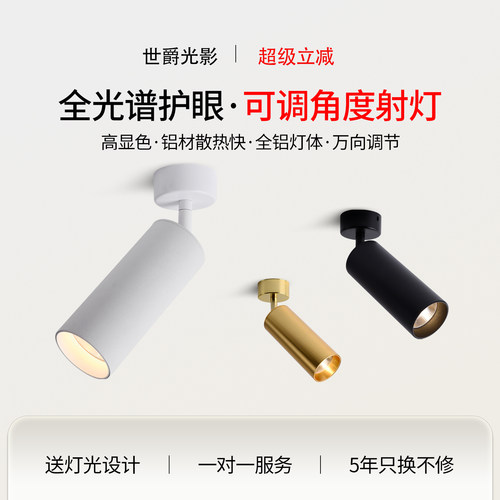 全光谱护眼家用金色小射灯高显色