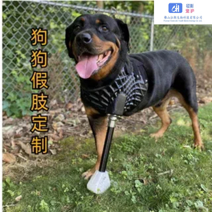 定制狗狗全腿截肢部分截肢假肢义肢仿生支撑固定假肢一对一定制