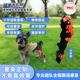 定制狗狗十字韧带撕裂护具犬髌骨脱位固定支撑护具狗膝关节支具