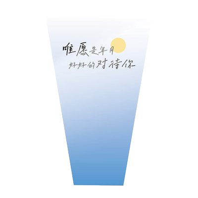 多支花束包装单支花束包装袋
