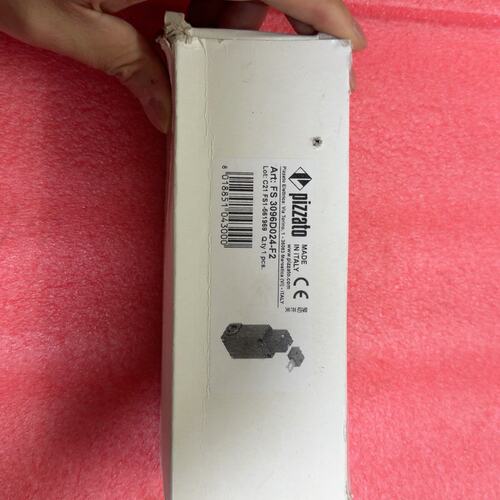 议价Pizzato FS 3096D024-FM2可维修