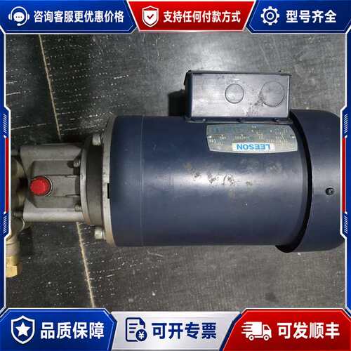 议价利森LEESON专用交流电动机，高压水泵，，成色如图可维修
