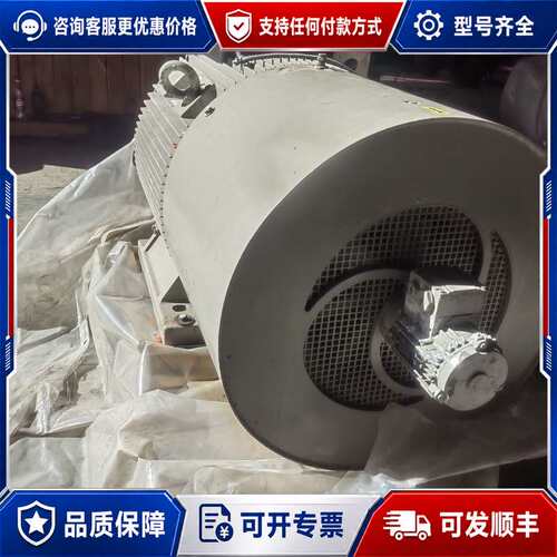 议价电机1LG6 313-8Pm80-Z。。功力 75K可维修