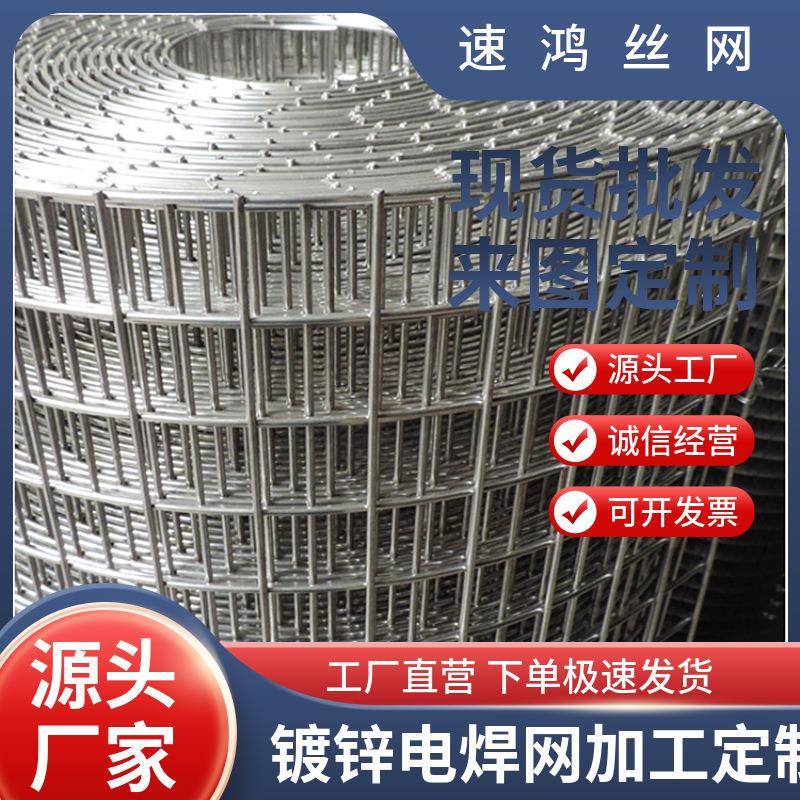 现货供应建筑内外墙抹墙抹灰方网 热镀锌电焊网 孔小丝铁丝网