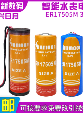 智能水表电池3.6V锂亚电池日月ER17505M预付费IC卡冷水表LS17500