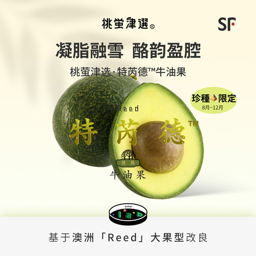 大果型牛油果！特芮德™礼盒装