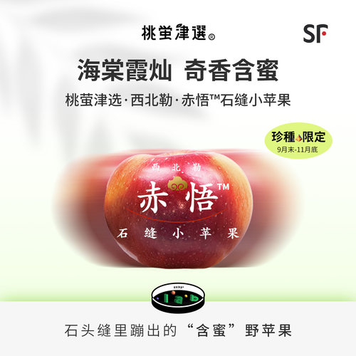 奇香含蜜野苹果！赤悟™石缝苹果