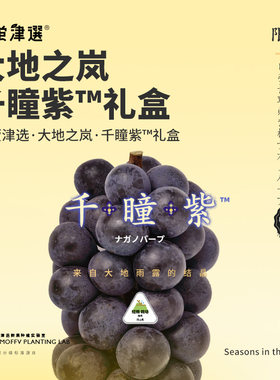 传奇长野紫引种！千瞳紫大地礼盒