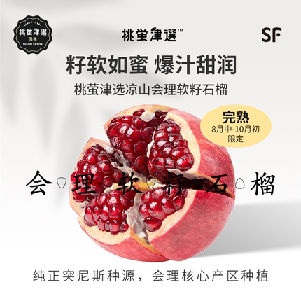 桃萤津选 凉山会理软籽石榴 突尼斯软籽 果王1.5斤/颗 礼盒装 SF