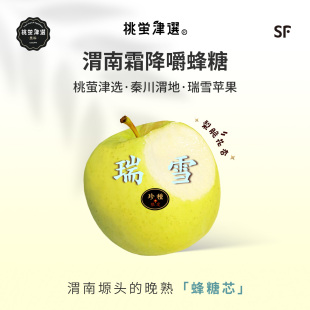 梨脆花香 瑞雪苹果 晚熟蜂糖芯 渭南白水产 珍 礼盒 桃萤津选