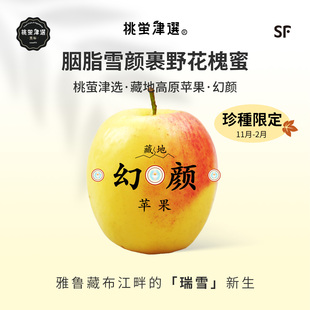 限!桃萤津选 藏地幻颜®苹果 寒熟限定 丹巴高山瑞雪 礼盒装 SF