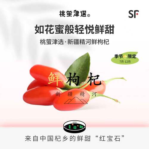 神奇浆果口感！新疆精河鲜枸杞