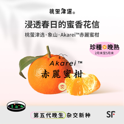 五代花香蜜柑！象山赤丽®蜜柑