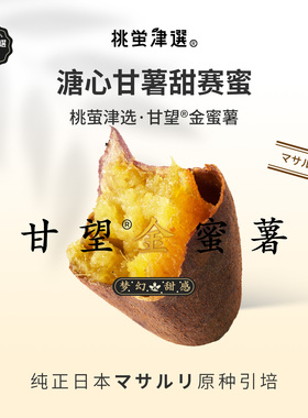 稀！桃萤津选 甘望®金蜜薯 溏心甘薯 日引玛莎莉杂交种 礼盒 SF