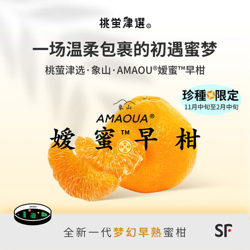 限定新种！象山AMAOU®蜜柑礼盒