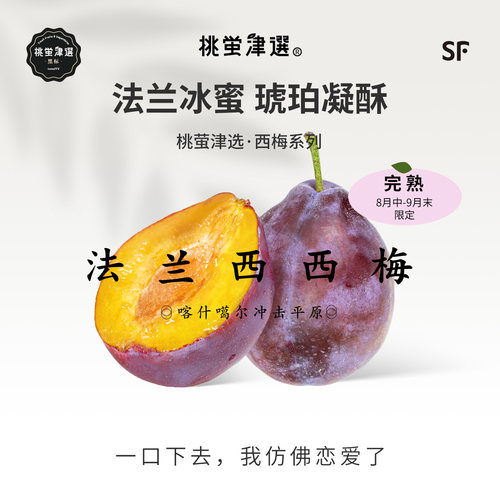 新疆伽师纯正Ente种法兰西西梅