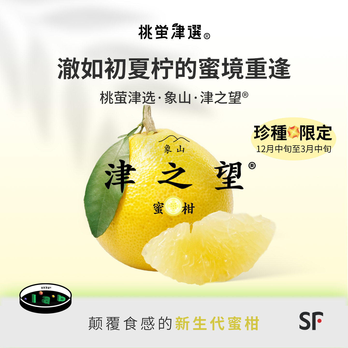 限定五代柑！象山津之望®蜜柑