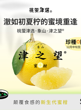 限定！桃萤津选 象山 津之望®蜜柑 日引梦幻食感五代柑 礼盒 SF