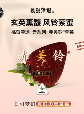 极稀！桃萤津选 赤美铃®草莓 日引梦幻真紅の黑草莓 限定礼盒 SF