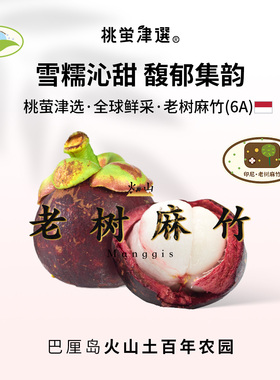 桃萤津选 印尼老树麻竹 巴厘岛火山土50年山竹·6A级 礼盒 SF空运