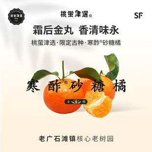 稀！桃萤津选 寒酢®砂糖橘 百年金丸古种 岭南橘中蜜藏 礼盒 SF