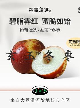 桃萤津选 玄玉™大荔冬枣 渭河阶地日光温室 糖度30°特级礼盒 SF