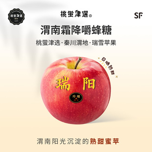 珍！桃萤津选 瑞阳苹果 蜜晕爽脆 暖阳晒熟甜 渭南白水产 礼盒 SF